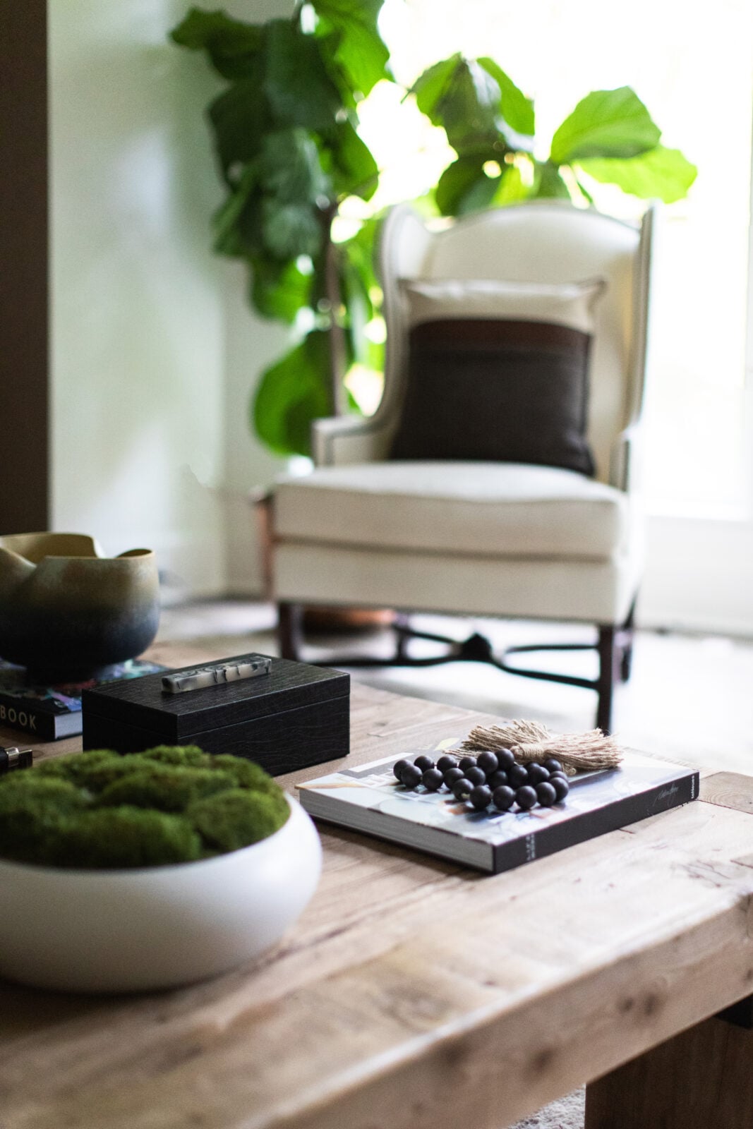 A wooden coffee table with books, a moss centerpiece, and grapes sits in front of a white armchair and large leafy plant by a bright window.