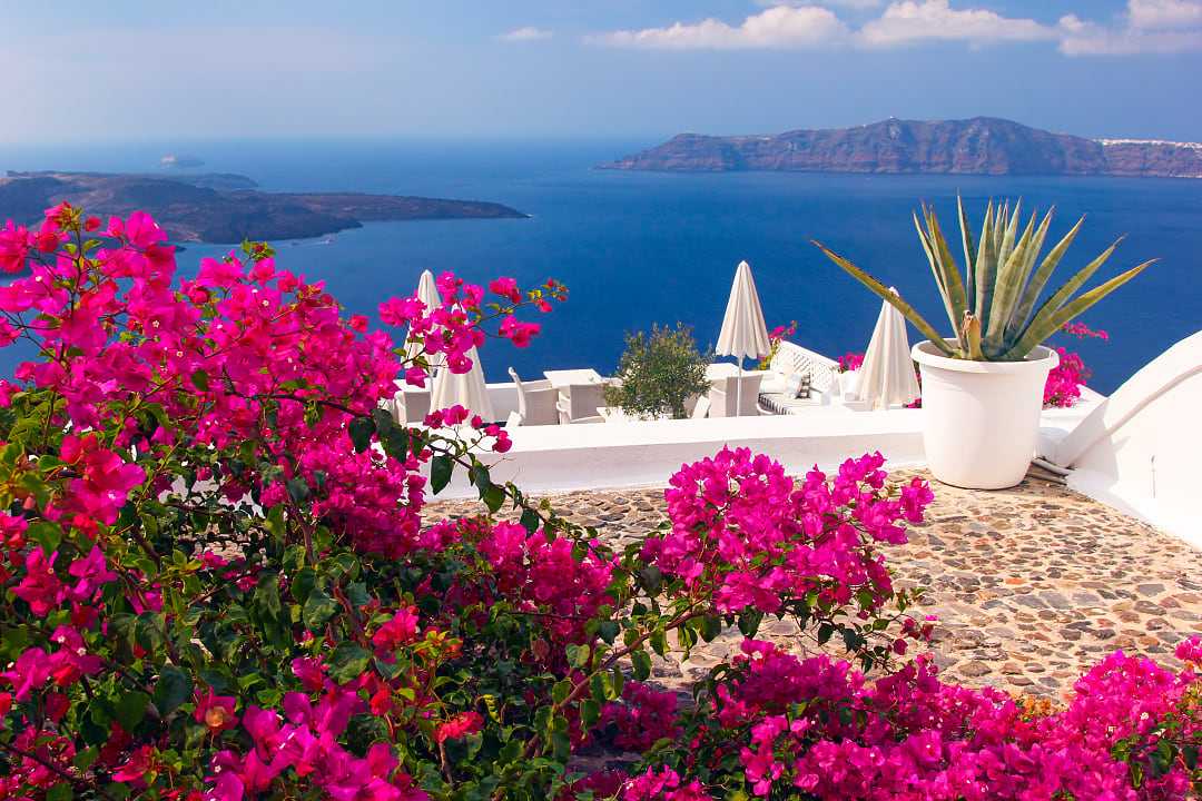 Scenic view of Greek oceanside resort with bold pink flowers, white stone buildings, bright blue water and green foliage on mountains in the distance