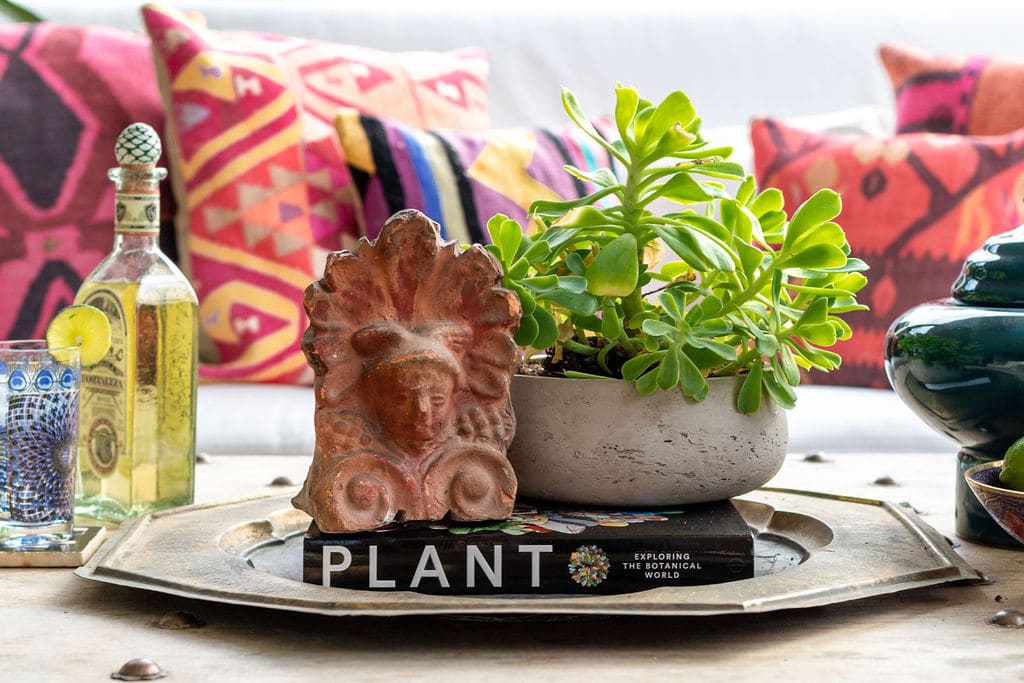 A potted succulent and terracotta face sculpture sit on a book titled "Plant" atop a tray on a table, with colorful patterned pillows in the background.