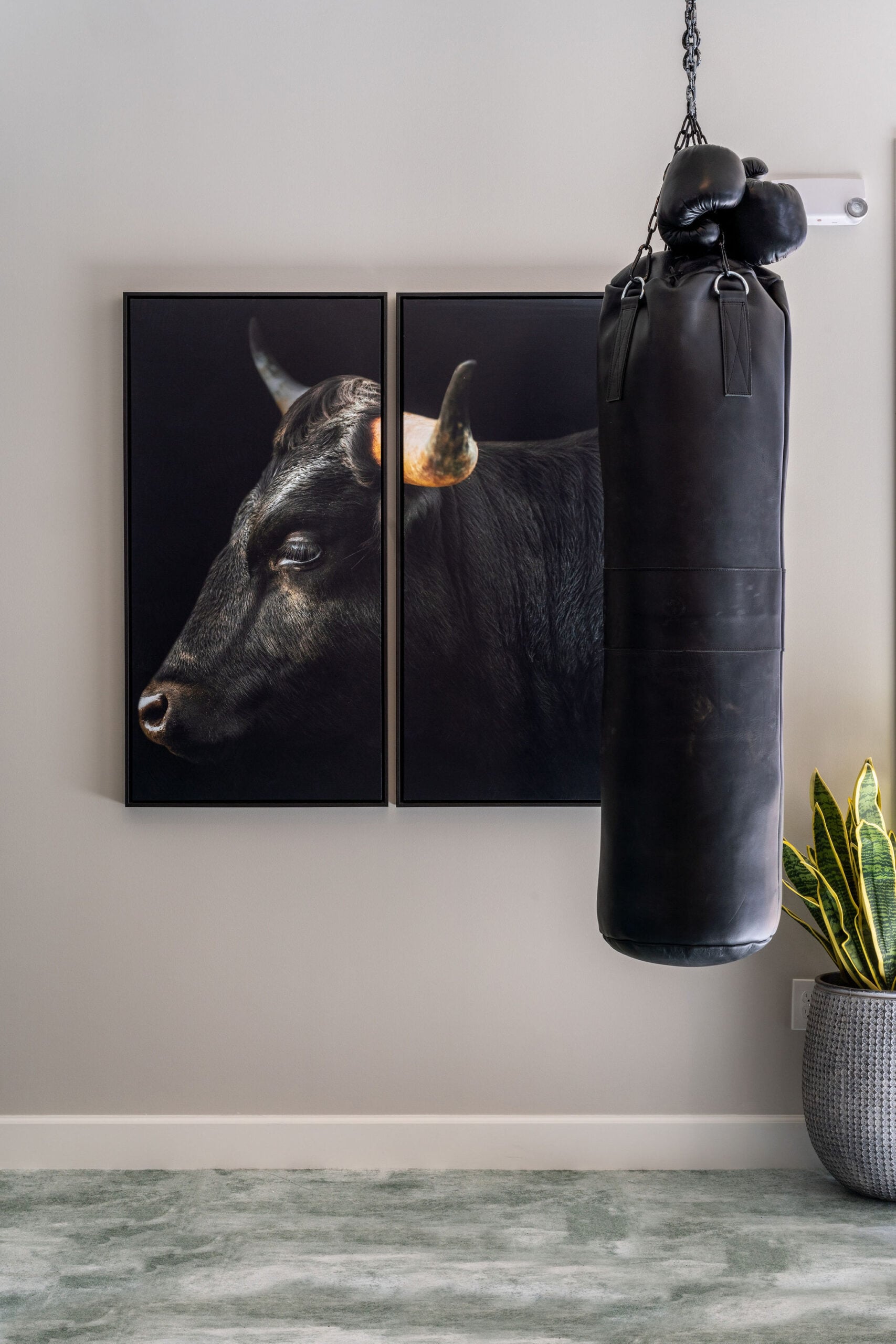A black punching bag with boxing gloves hangs in front of a wall with a two-panel bull portrait; a plant sits on the floor nearby.