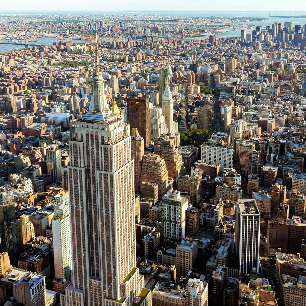 1-Ultimate-New-York-Hero-e1566618507155