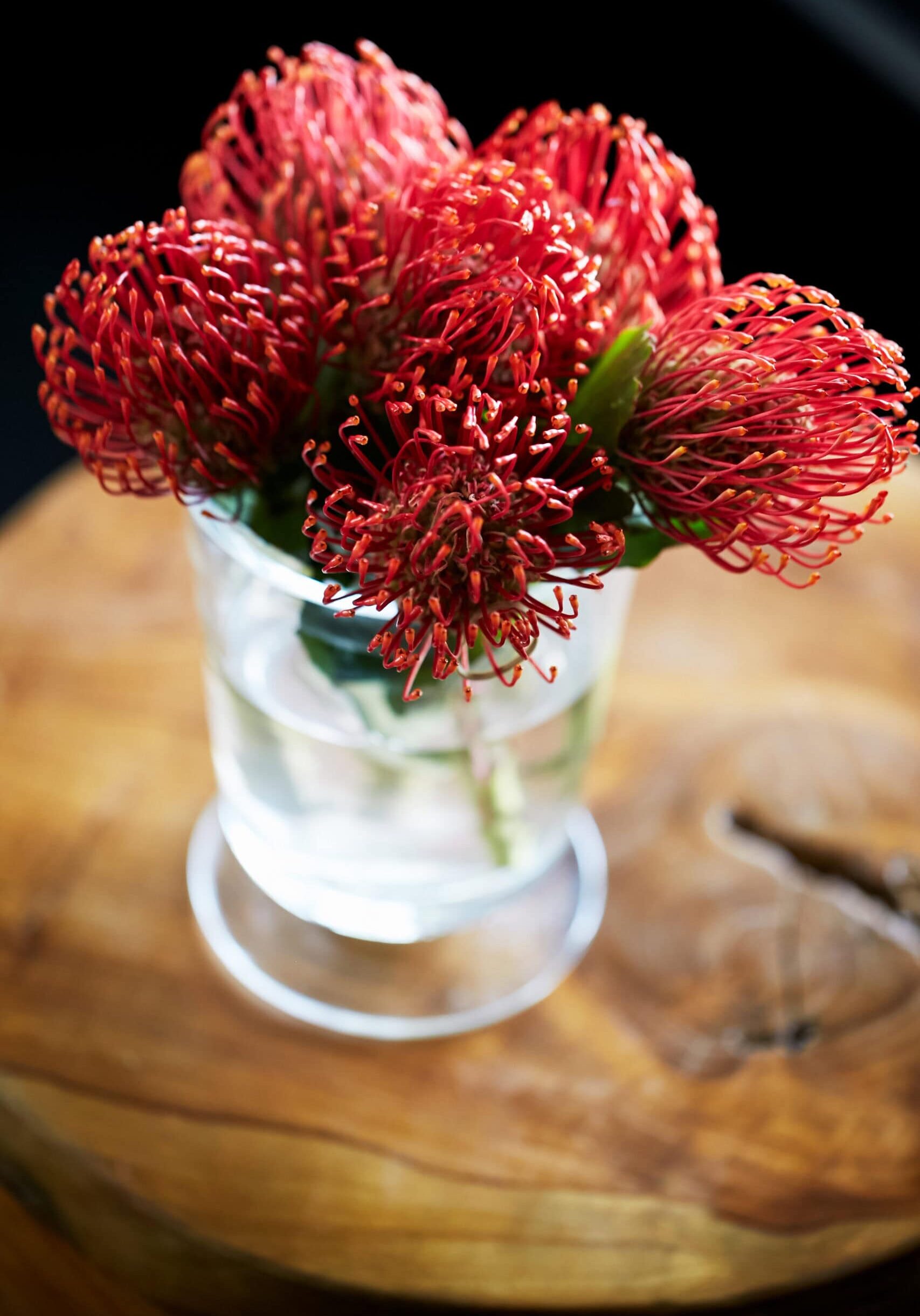 A clear glass vase with red pincushion protea flowers sits on a wooden surface.