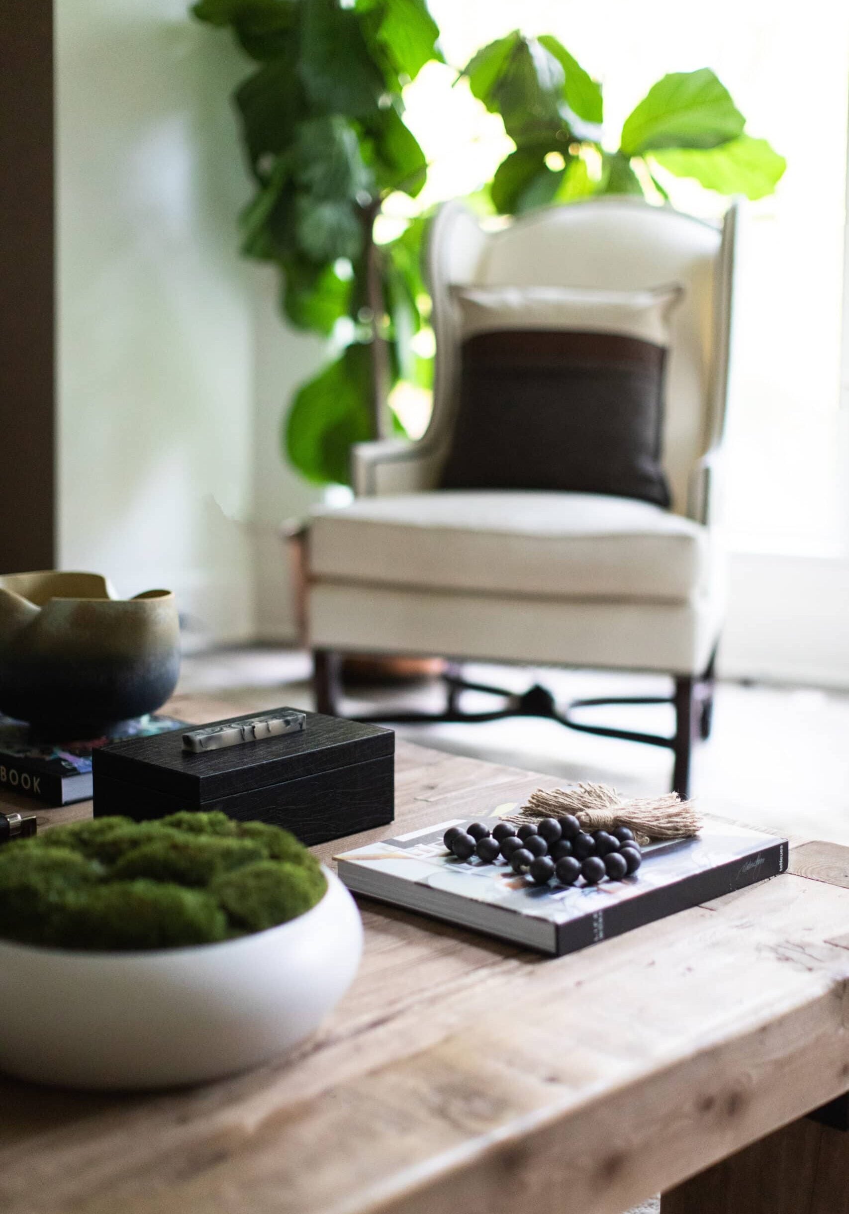 A lounge chair with pillows sits by a large plant, while a wooden coffee table in the foreground holds books, a bowl, and decorative objects.