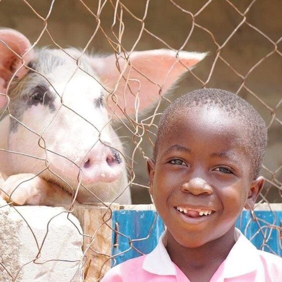 james2Bpig-e1566593518346
