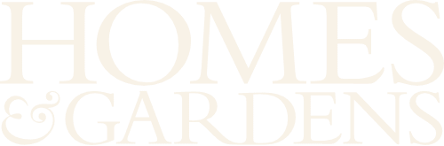 Logo with the words 