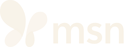 The image shows the MSN logo with a butterfly-shaped icon to the left of the lowercase letters 