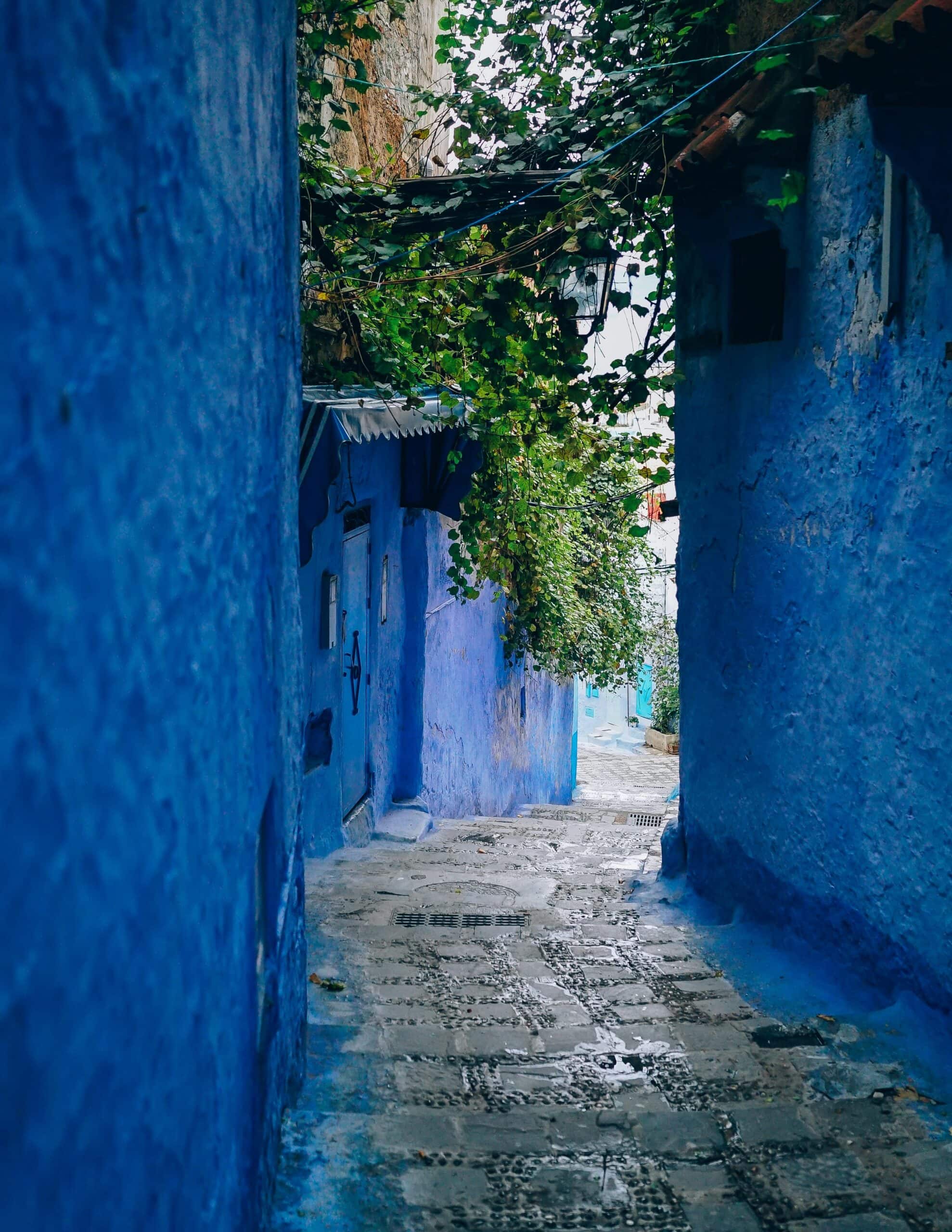Narrow alleyway with blue-painted walls and cobblestone path, overhung by green leafy vines.